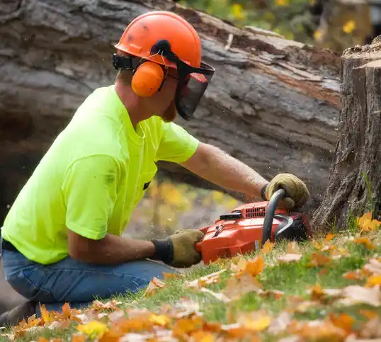 tree services Ocean Isle Beach